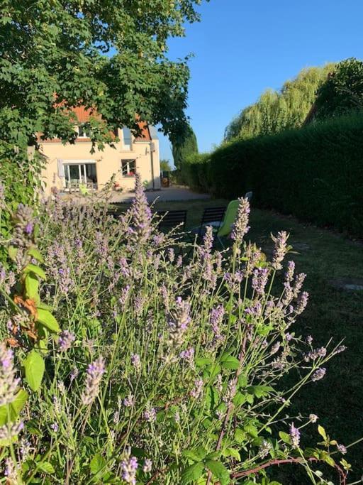 Maison Village, 10 Pers, Proche De La Plage Audinghen Bagian luar foto